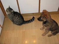 2009_02_22 bella_005